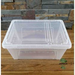 Breeding box reptiles or insects 33x23x15 cm