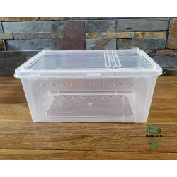Breeding box reptiles or insects 33x23x15 cm