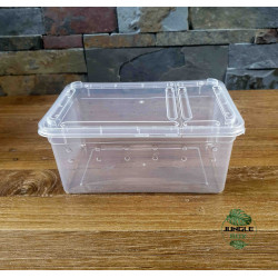Breeding box reptiles our insects 33x23x15 cm