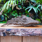 Racine Pookanature 30–50 cm – Décor terrarium | JungleBox