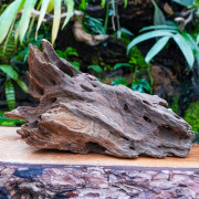 Racine Pookanature 30–50 cm – Décor terrarium | JungleBox