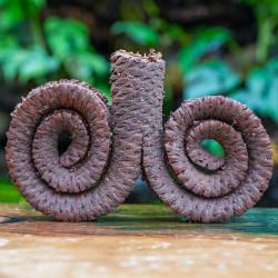 Natural Dried Palm Ring for Terrariums | JungleBox