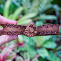 Natural Dried Palm Ring for Terrariums | JungleBox