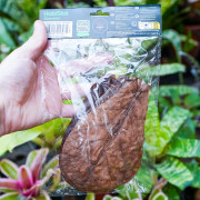 Feuilles de Catappa naturelles pour terrarium | JungleBox