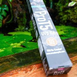Arcadia ProT5 Desert 12% UVB 24 W – Kit UVB pour terrarium
