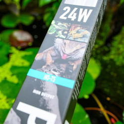 Arcadia ProT5 Desert 12% UVB 24 W – Kit UVB pour terrarium