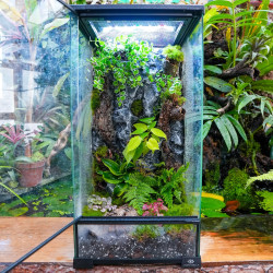 Terrarium planté 30x30x60 – Décor faux rochers | JungleBox