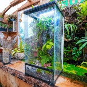 Planted Terrarium 30x30x60 – Artificial Rocks | JungleBox