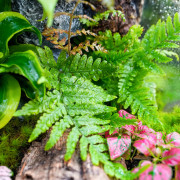 Planted Terrarium 30x30x60 – Artificial Rocks | JungleBox