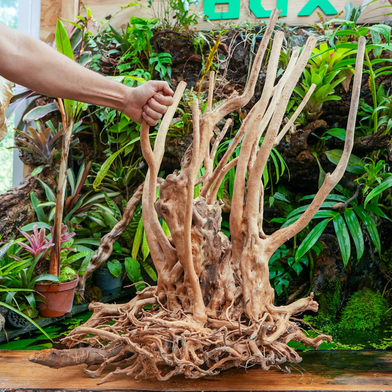 Stump Wood XL Root – Natural Aquarium Driftwood