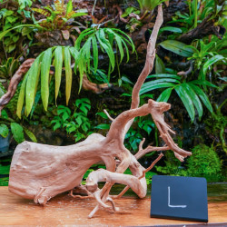 Red Spider Wood Root 35-50 cm WYSIWYG | JungleBox