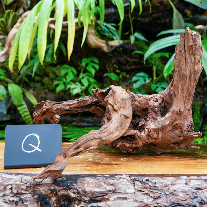 Racine Sinknature 40-60 cm WYSIWYG pour Terrarium Tropical