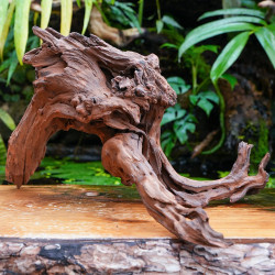 Sinknature Root – Natural Terrarium Wood | JungleBox