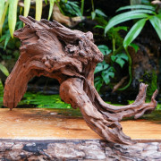 Sinknature Root – Natural Terrarium Wood | JungleBox