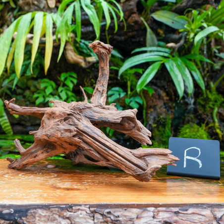 Racine Sinknature 40-60 cm WYSIWYG pour Terrarium Tropical
