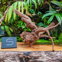 Racine Sinknature 40-60 cm WYSIWYG pour Terrarium Tropical