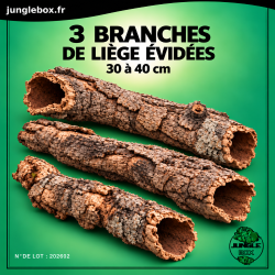 liège 3 branches évidées junglebox