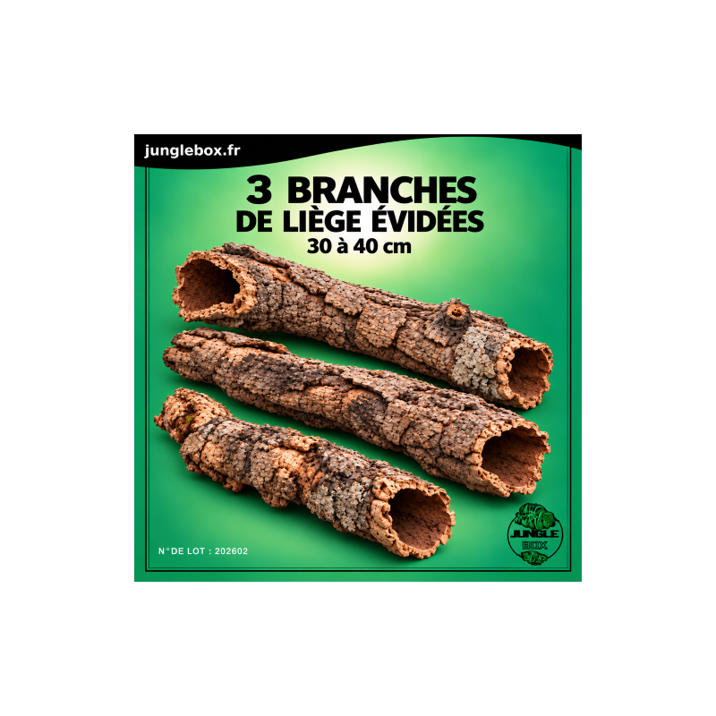 3 Natural Hollow Cork Bark Tubes – Diameter 5 to 8 cm
