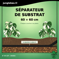Séparateur de substrat 60x60 cm pour terrarium | JungleBox