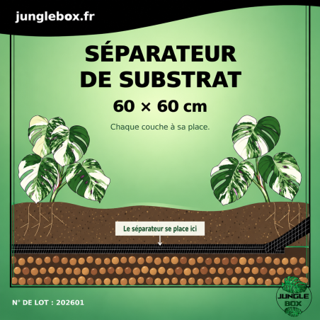 60x60 cm Substrate Separator for Terrariums | JungleBox