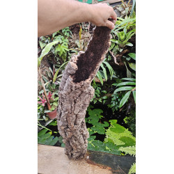 Tronc de liège 70–80 cm Ø20 cm pour terrarium | JungleBox