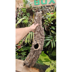 Tronc de liège 70–80 cm Ø20 cm pour terrarium | JungleBox