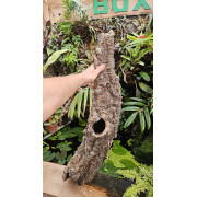 Tronc de liège 70–80 cm Ø20 cm pour terrarium | JungleBox