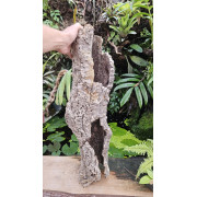Tronc de liège 70–80 cm Ø20 cm pour terrarium | JungleBox