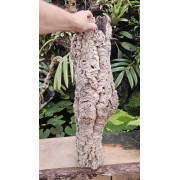Tronc de liège 70–80 cm Ø20 cm pour terrarium | JungleBox