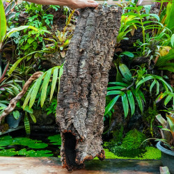 Tronc de liège 100 cm Ø20 cm pour terrarium | JungleBox