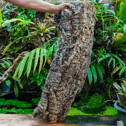 Tronc de liège 100 cm Ø20 cm pour terrarium | JungleBox