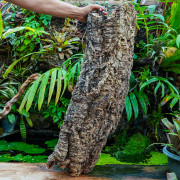 Cork Trunk 100 cm Ø20 cm for Terrarium | JungleBox
