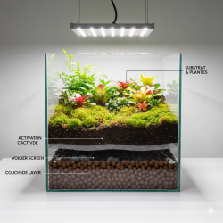 Sol drainant pour terrarium – JungleBox