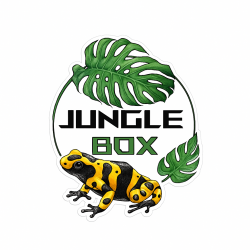 Dendrobates élevées en captivité | JungleBox