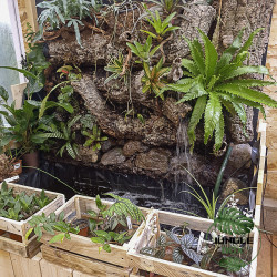 Bassin tropical d’intérieur sur mesure | Conception & installation personnalisée