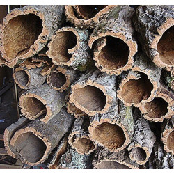 Liège naturel terrarium