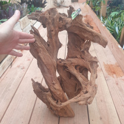 Racines naturelles pour aquarium et terrariums sélectionnées par junglebox