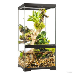 Paludarium