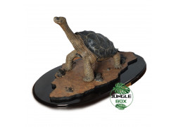 Les répliques sont des figurines plus réalistes de la plante ou de l'animal, parfois à l'échelle 1:1  elles peuvent être trompeuses.