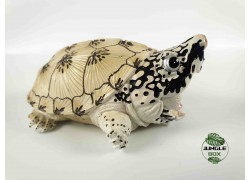 tortoise figurine