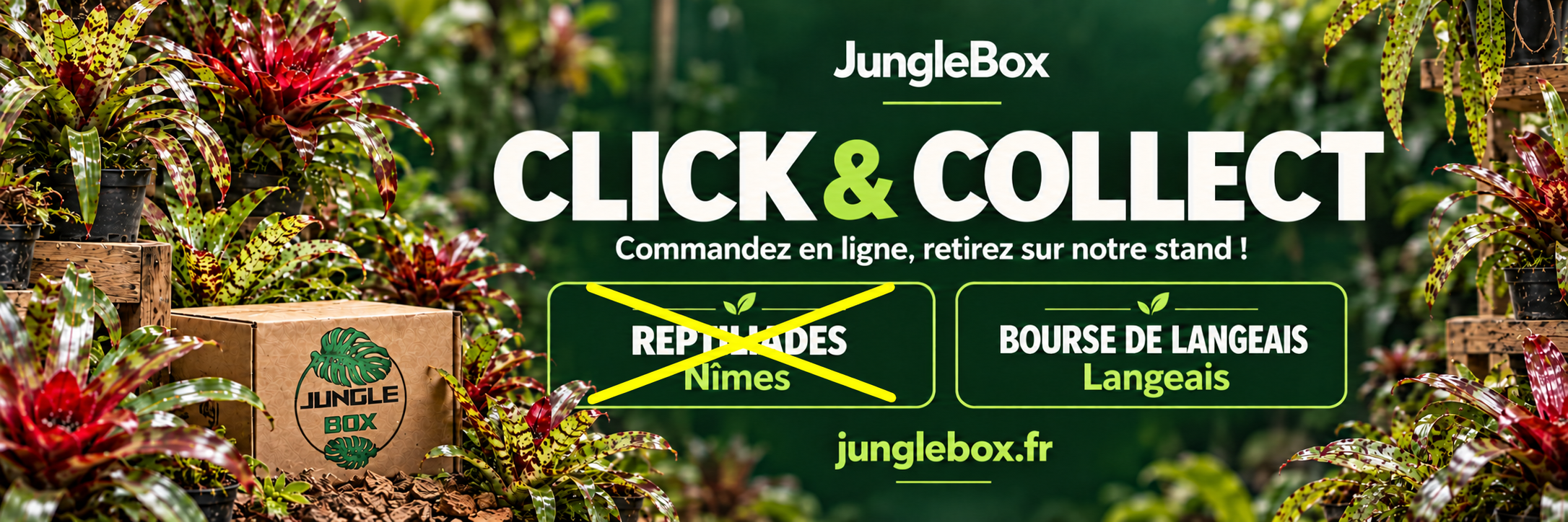 banniere-clic-and-collect-jungleboxfr.png