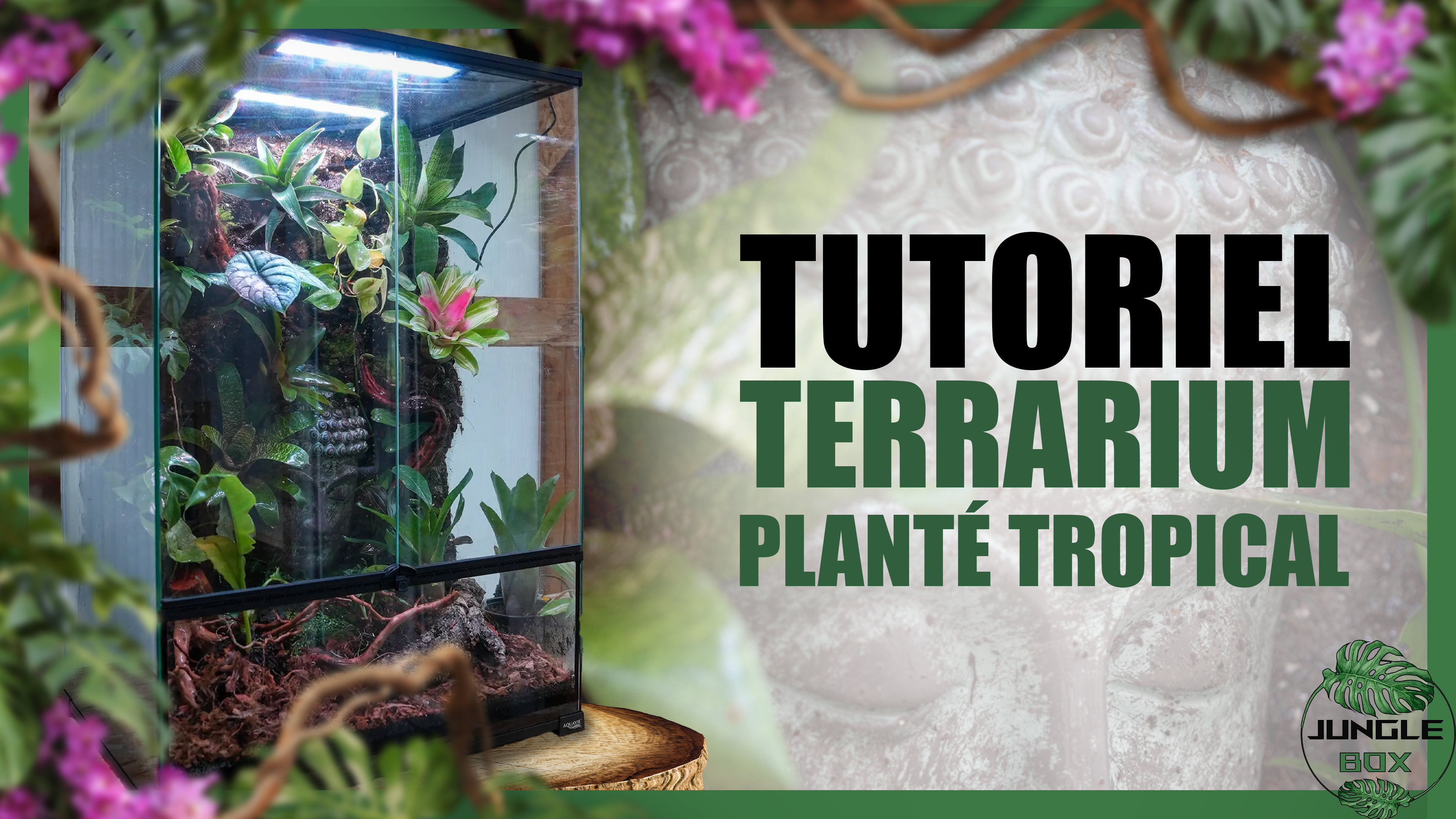 tuto terrarium planté