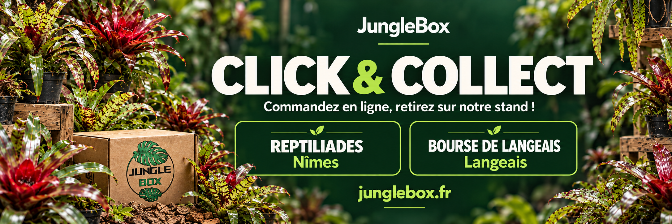 banniere-clic-and-collect-jungleboxfr.png