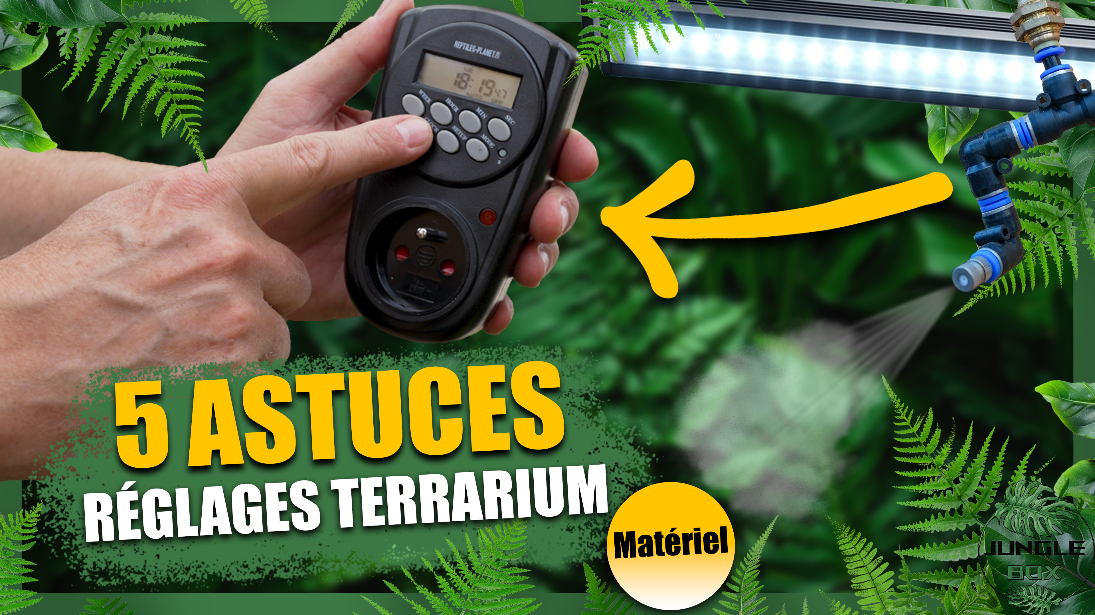 5 astuces terrario
