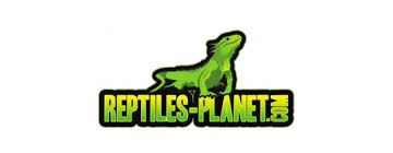 Reptiles-planet