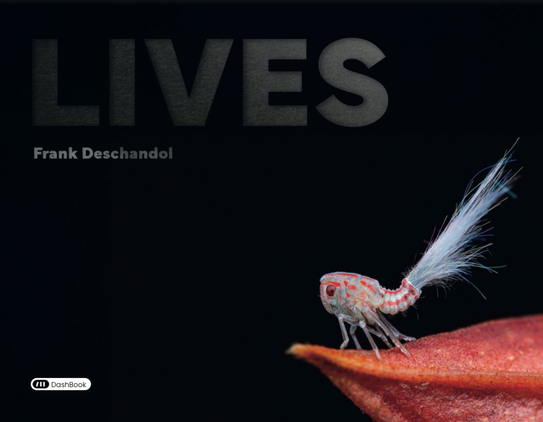 frank deschandol lives